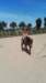 img_20180611_140813_small.jpg